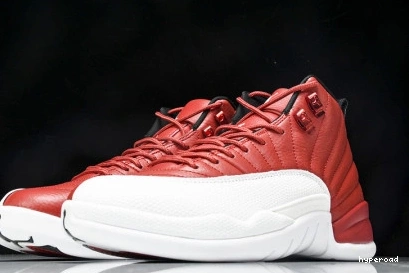 Hyperoad Jordan 12 Air 